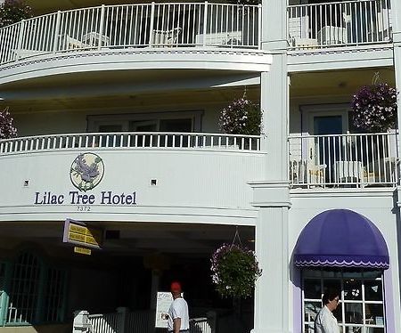 Lilac Tree Suites Wyspa Mackinac Zewnętrze zdjęcie